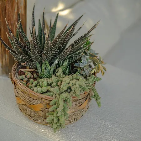 Otel Melekaki Alaçatı