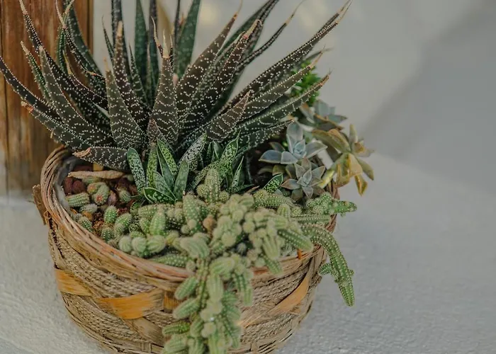 Hotel Melekaki Alacati