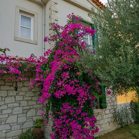 Melekaki Alacati Çeşme