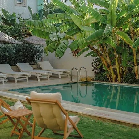 Melekaki Alacati Çeşme